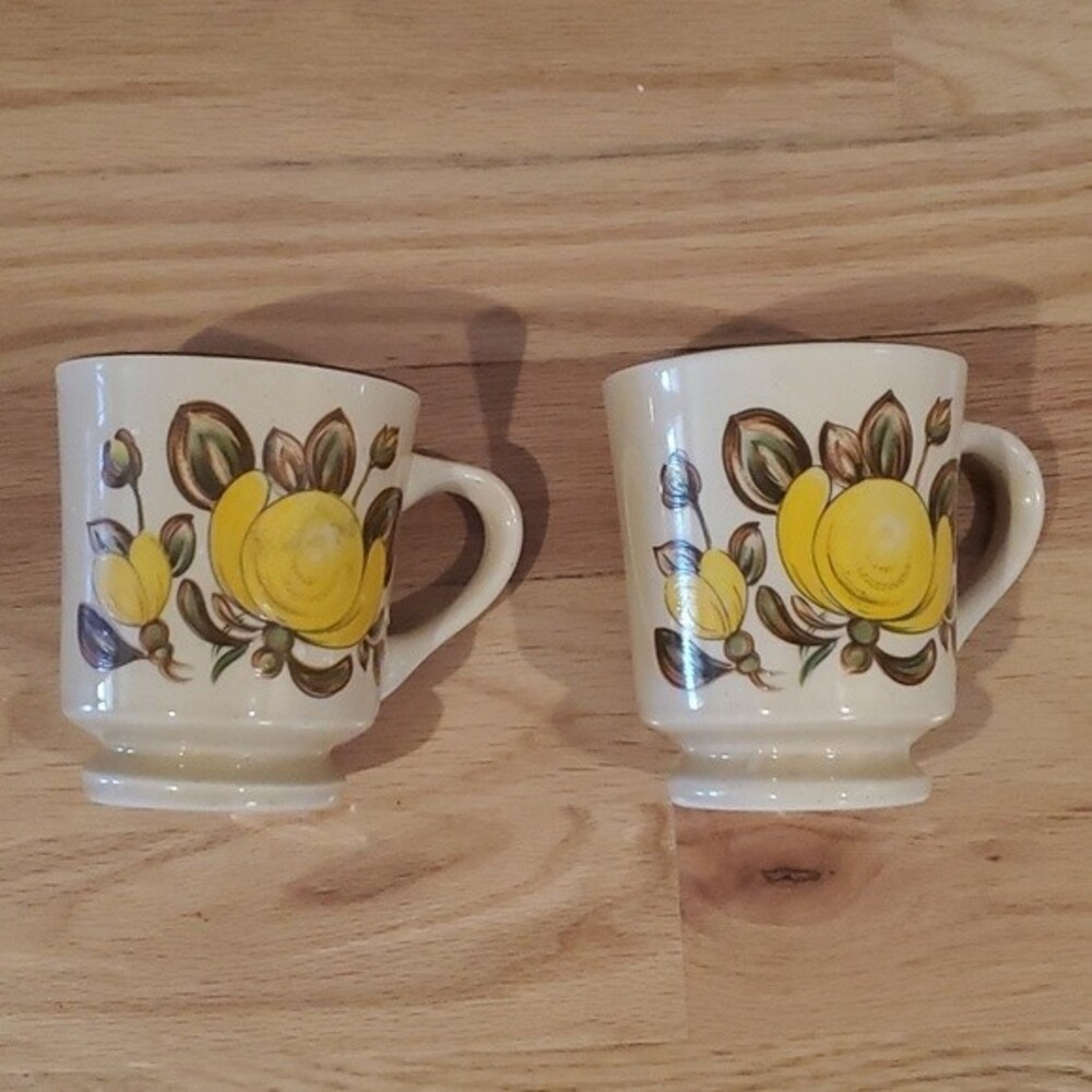 Vintage 70's Coffee Mugs Set Of 2 Floral Kitch